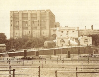 Victorian Cabinet Card Photo Norwich Cattle Market Norfolk Sawyer & Bird