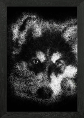 Husky Hund Welpe Gesicht Nahaufnahme Sketc Gerahmtes Wandbild Poster Leinwanddruck Bild