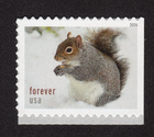 Scott #6132 Squirrels & Chipmunks Booklet Single Forever Stamp - MNH