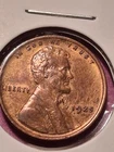 1925-P LINCOLN CENT. MS/ UNC DETAILS. LOOKS CLEANED.
