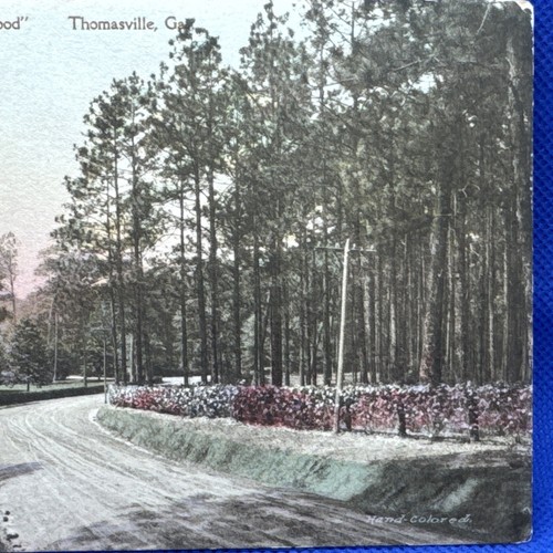 Hand colored postcard Thomasville GA Jones Bridge Road at “Greenwood” - Picture 2 of 5