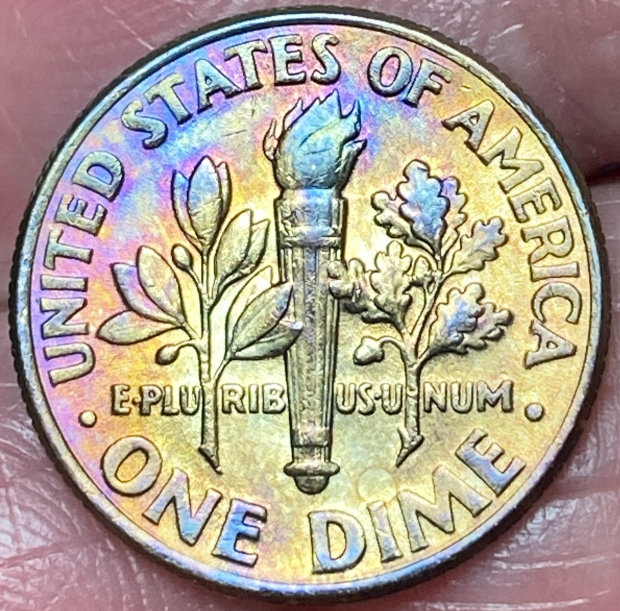 Picture 4 of 12