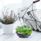 2 Pcs Ceramic Flowerpot Purple Clay Office Planter Desktop