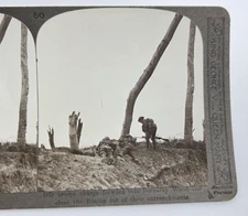 WW1 Stereoview Card 3D Photo British troops Bernafay Woods Realistic travels