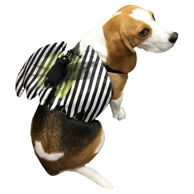 Halloween BEETLE Costume Dog Harness Size Small TARGET NEW eBay