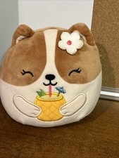 Squishmallows Regina The Corgi With Pineapple Drink Flower 5 Soft Squish Plush