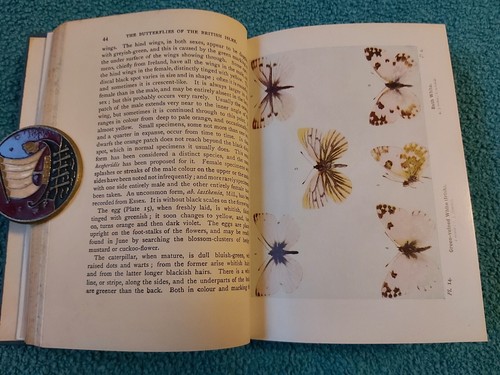 Wayside & Woodland, Schmetterlinge der britischen Inseln, Süden, 1960, HB mit DJ - Bild 12 von 16