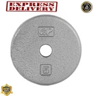 Cast Iron Weight Plate Standard 1 Inch 5 Pound Gray Solid Finish 5LB