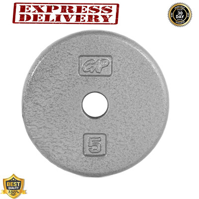 Cast Iron Weight Plate Standard 1 Inch 5 Pound Gray Solid Finish 5LB