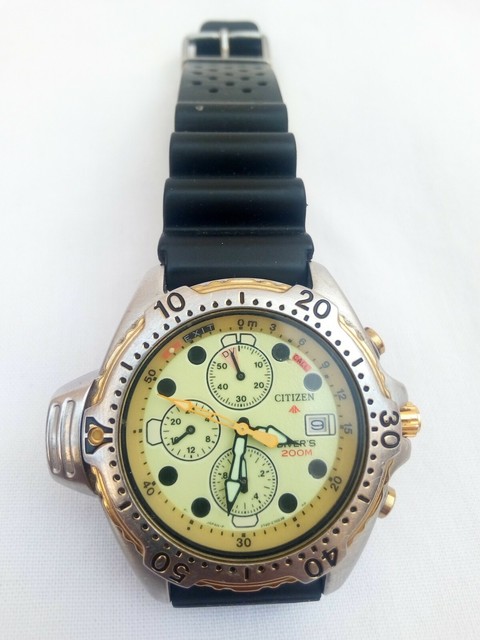 citizen promaster diver aqualand