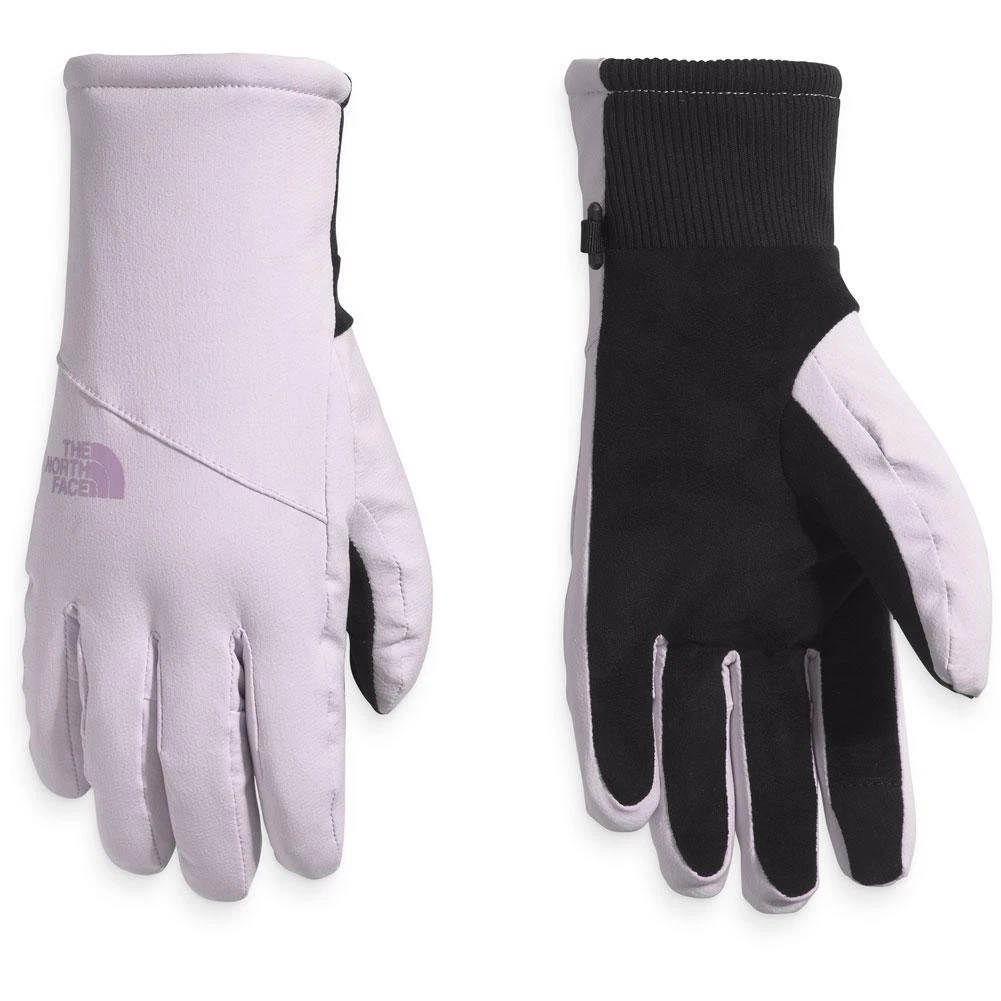 The North Face Shelbe Raschel Etip Gloves - Insulated, Touchscreen Compatible