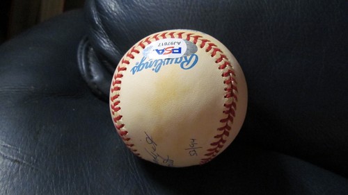 Holy Cow Phil Scooter Rizzuto signed baseball PSA Certified - Picture 7 of 9