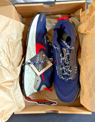Nike Pegasus Trail 3 Gore-Tex Obsidian Siren Red 2022 - DC8793-401 Shoes