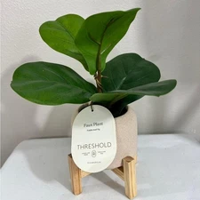 Threshold Faux Fiddle Leaf Fig with Green Leaves