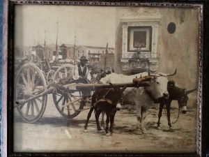 Georgio Sommers "Sicilian Cart" Series Donkeys Yoked with Ox