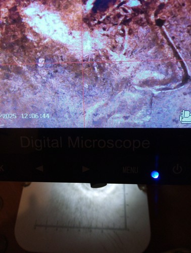 2016 Lincoln Penny-(Crying Lincoln)-- DDO/DDR-- - Picture 2 of 14