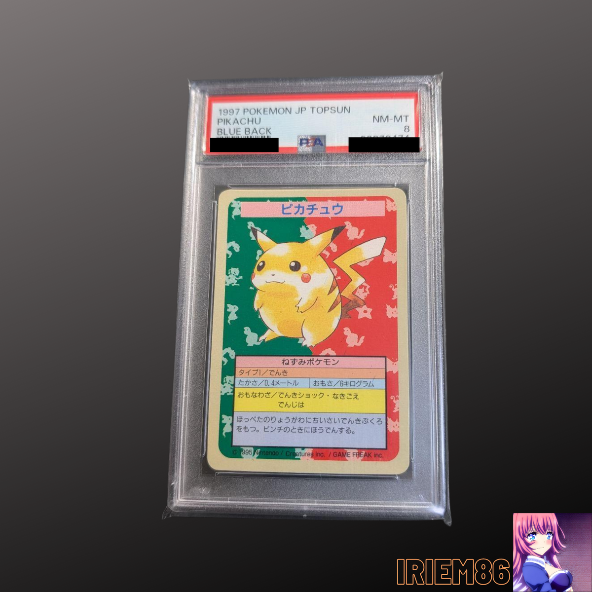 PSA 8 Pokemon TOP SUN Card No Number Pikachu Blue Back 1995 Japan 