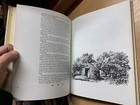 Foto 11 di 16