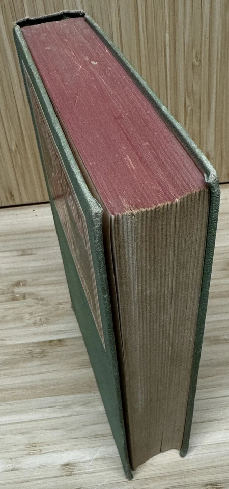 "Rose in Bloom" book Louisa May Alcott 1918 illustrated Grosset & Dunlap HC Foto 2 de 4