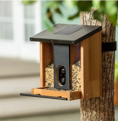 Evergreen Solar Smart Bird Feeder - Brand New - Free Shipping