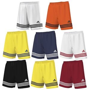 short adidas entrada 14