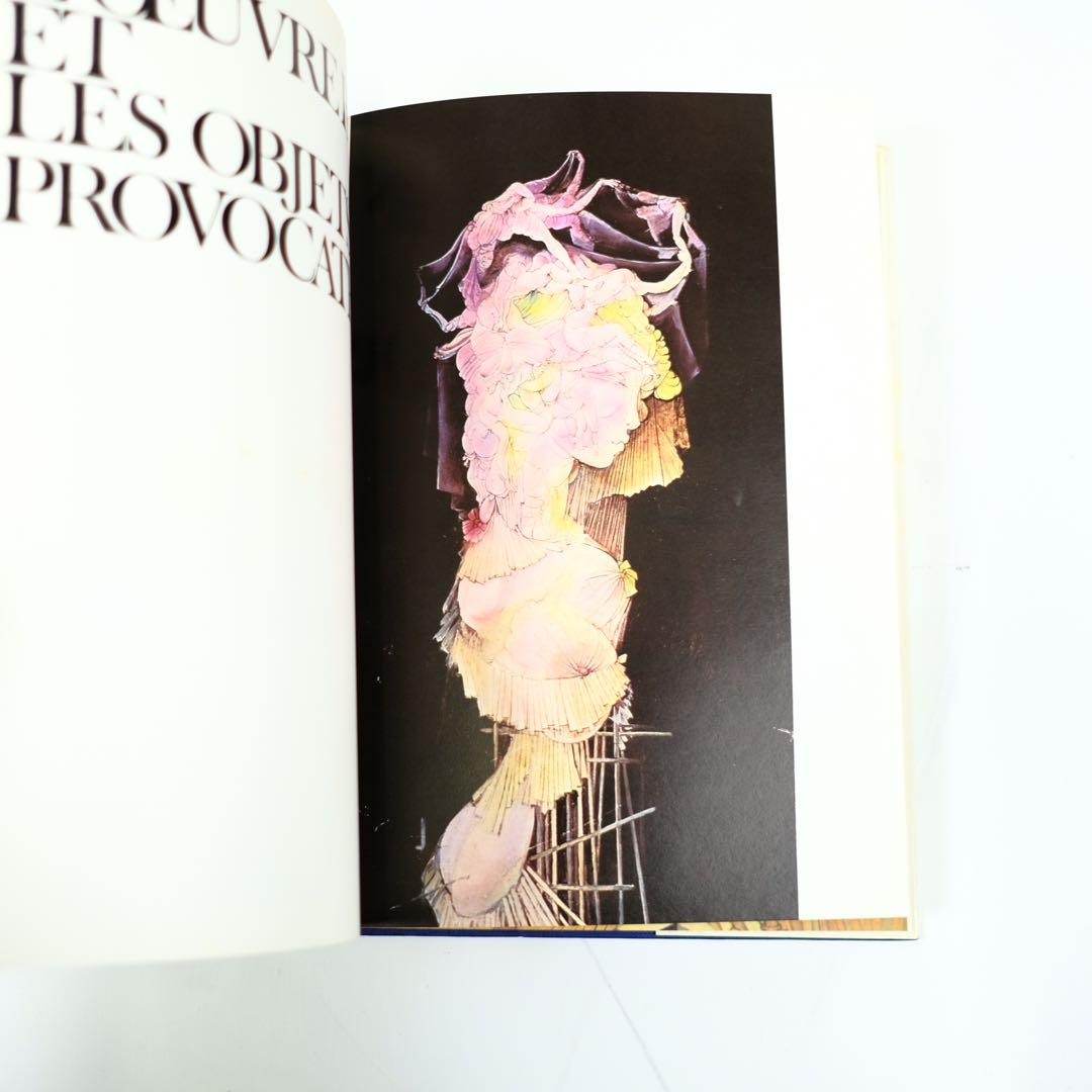 HANS BELLMER EDITIONS FILLIPACCHI 洋書 画集 HANS BELLMER EDITIONS FILLIPACCHI 洋書 画集 | eBay