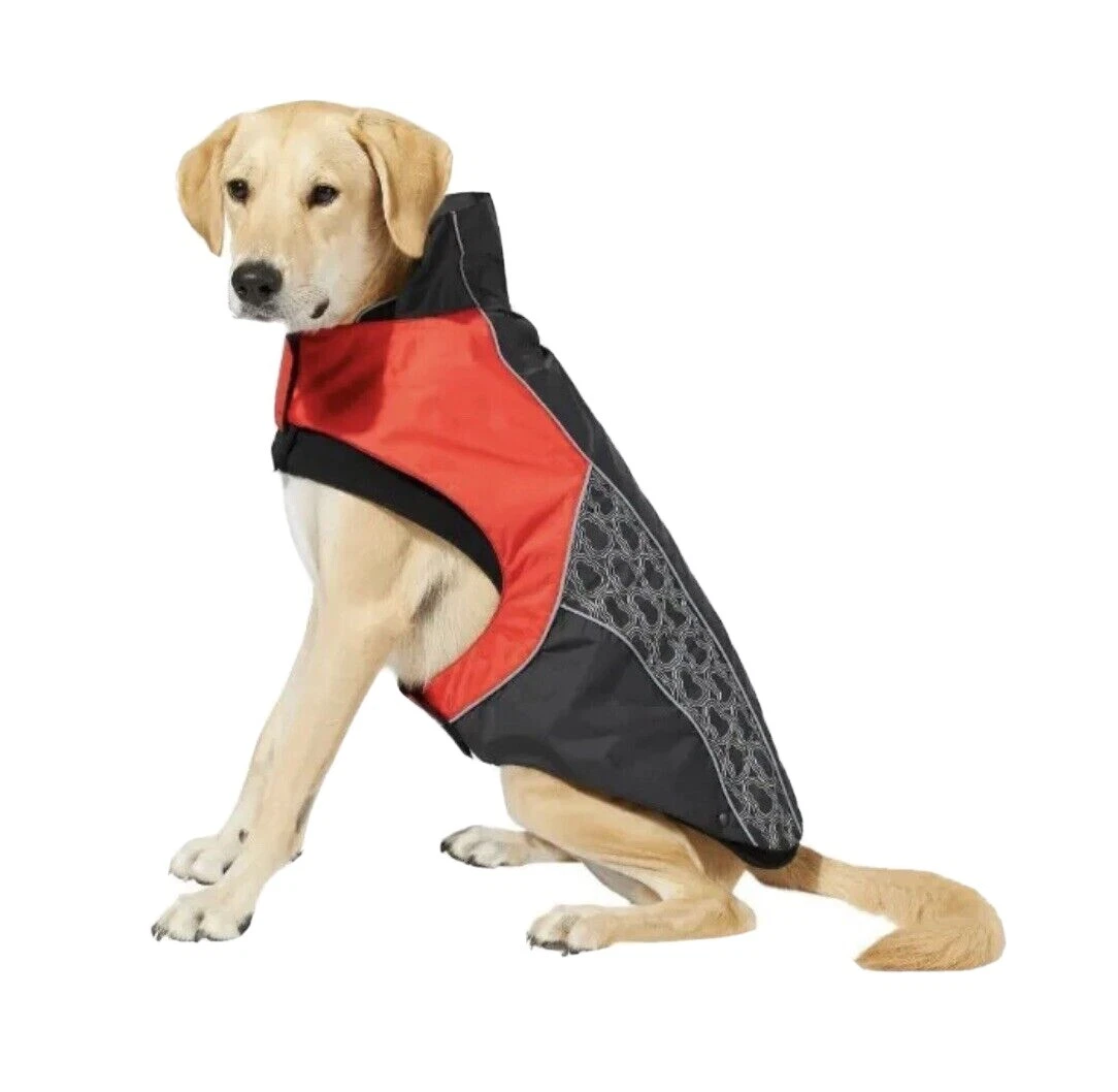Kong clearance dog clothes