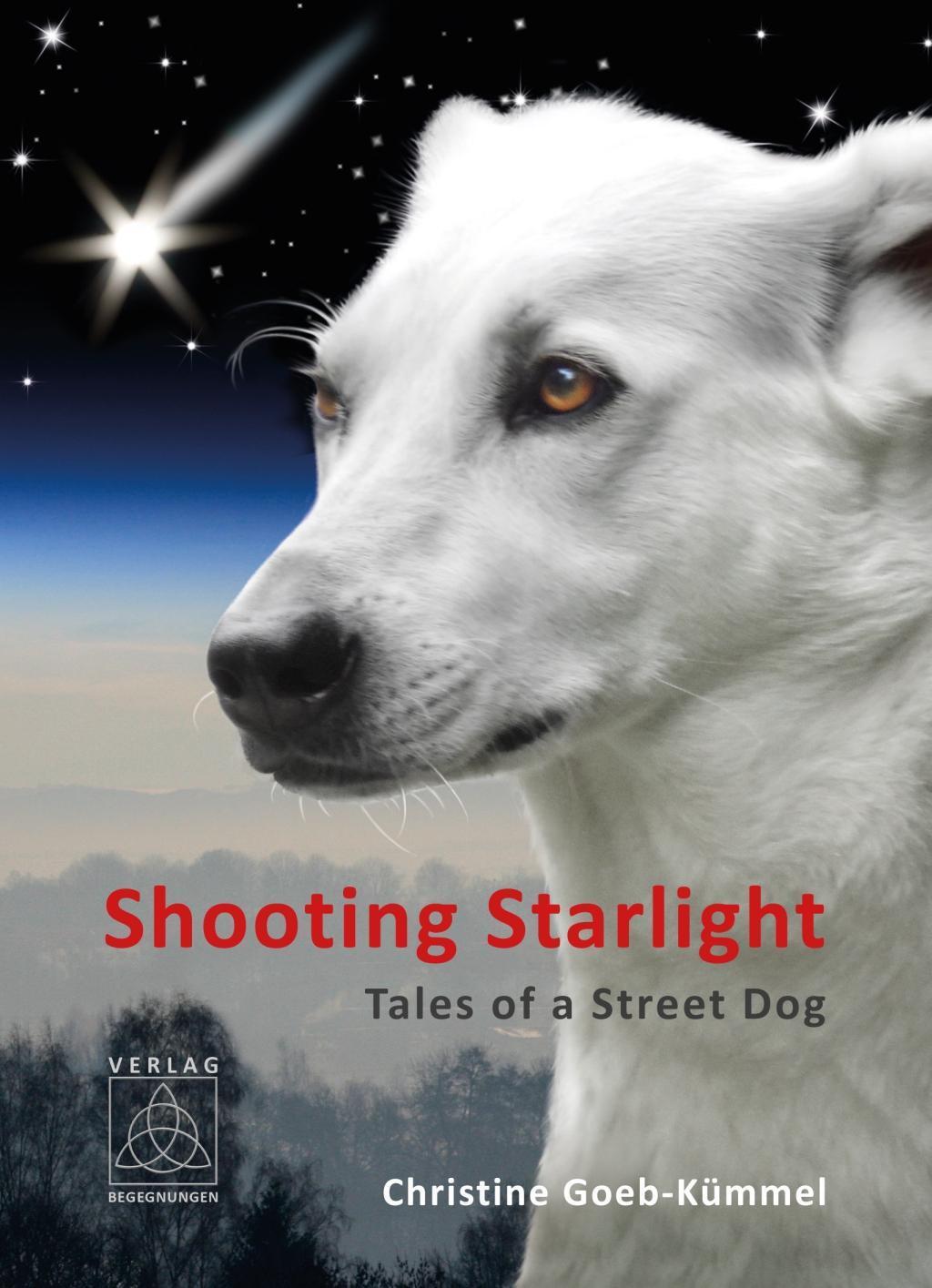 Thumbnail - Shooting Starlight - Christine Goeb-kümmel - 9783981616279