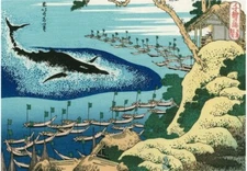 Ukiyo-e Reprint Katsushika Hokusai Chiyo no Umi Goshima Kujiratuki Woodblock P