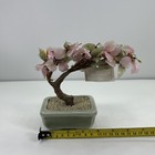 Picture 10 of 12