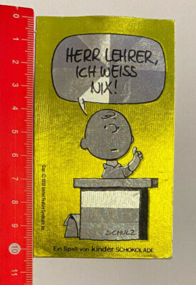 Sticker/Decal: Mr. Teacher I know nothing! A Fun (01051746)