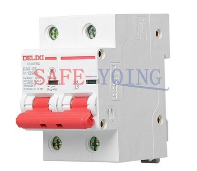 1x NEW Delixi DZ47-125 DZ47125 2P 80A 100A 125A Air-Switch Circuit Breaker *hh