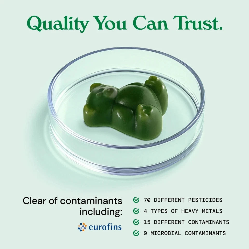 Gruns Adultos Super Verdes Gomitas, Multivitamínico Superalimento Osos Gominolas 28 Paquetes Foto 3 de 4