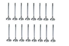 Valvola aspirazione motoreJeep Grand Cherokee ZJ 5.2L 1993-1998 53006723 5300...