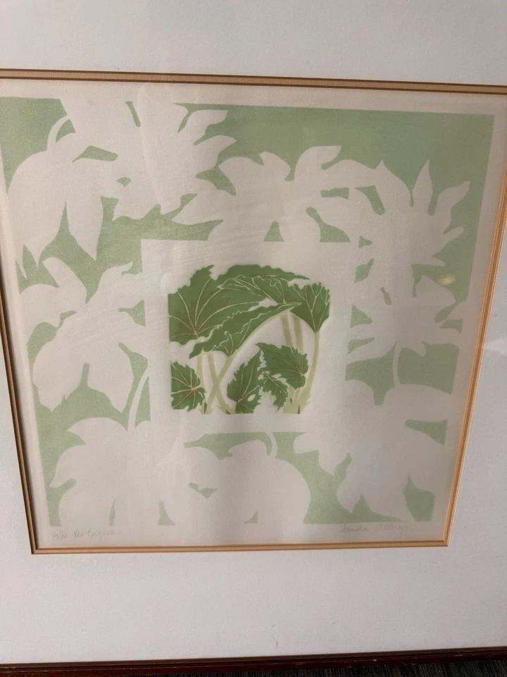 Impresión botánica firmada por Sandra Altwerger “Rex Begonia” - Edición limitada 15/16 (L37) Foto 2 de 4