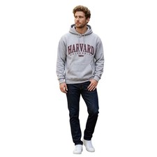 H&M Men's XL Gray Harvard University Ivy League Collegiate Hoodie Sweatshirt