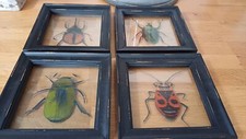 SET OF FOUR BEETLE PRINTS ON GLASS BLACK AND GOLD DISTRESSED FRAME