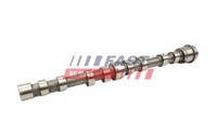 Fast FT45006 Nockenwelle FüR CitroËN Passend FüR Fiat Passend FüR Iveco