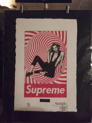 Supreme Kate Moss ポスター Supreme S/S12 