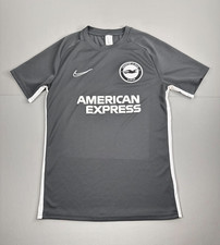 Brighton & Hove Albion 2021 Training Football Shirt Nike Youth Medium Gray