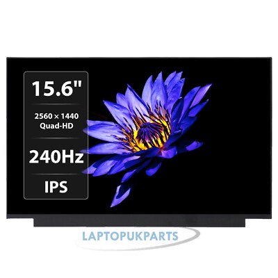 Passend für BOE NE156QHM-NZ2 Laptop Bildschirm kompatibel 15,6'' LED LCD IPS QHD 240Hz