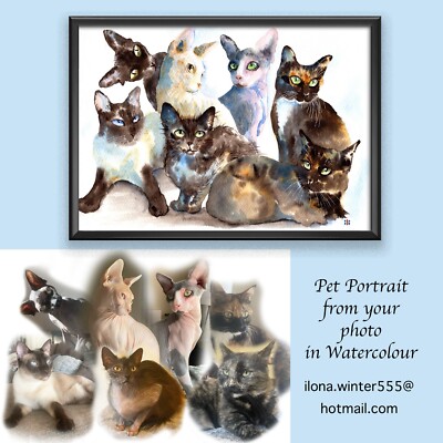 Maßgeschneiderter Haustierhund, Katzenporträt aus eigenen Fotos in Aquarell
