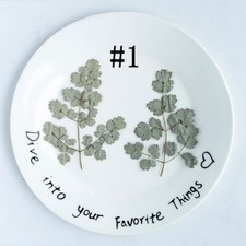 M T 2007 12PCS real Pressed dry leaves, Floral supply for art craft FSS72