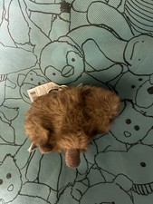 Jelly Cat Capybara Charm New Keychain Plush Toy Stuffed Animal Doll Bag Pendant