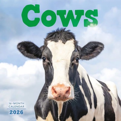 Carousel Calendars,  Cows 2026 Wall Calendar, 12'' X 12'', 16-Month Calendar wit