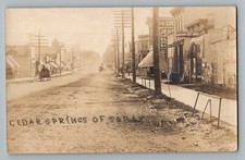 Cedar Springs Michigan MI Street View Water Wagon Real Photo Postcard RPPC c1910