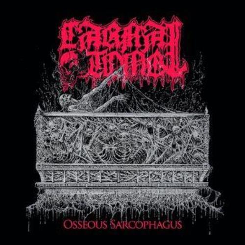 CARNAL TOMB: OSSEOUS SARCOPHAGUS - LP Vinyl *NEU* - Bild 1 von 1
