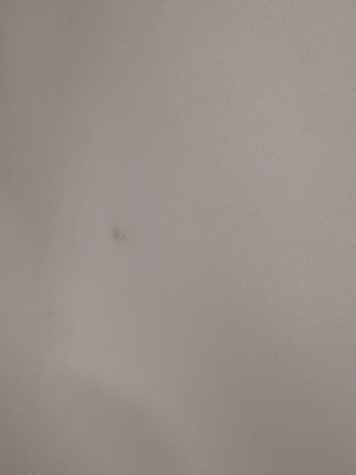 Picture 11 of 24