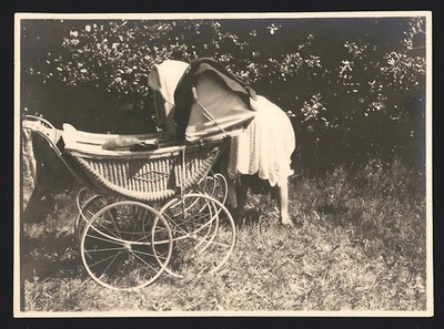 Photograph Mother Doing Handstand Next To Stroller 