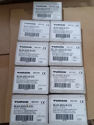 1 Pcs New TURCK BL20-2DO-R-CO 6827030 Module Spot Goods Fast shipping DHL/Fedex*